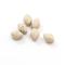 纖體樂